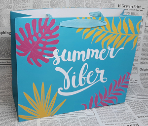 Пакет подарочный 70115 (32Х26Х10см )