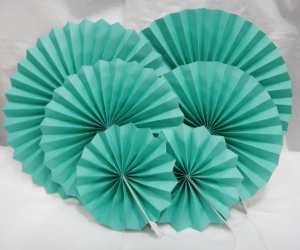 Набор гармошек ( 6 шт) .