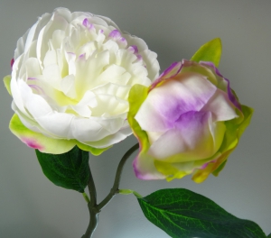 Ветка пион с бутоном , диаметр 10 см, (высота 39 см )