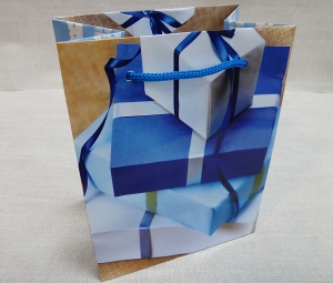 Пакет подарочный 1553 (17х14х9,5 см)