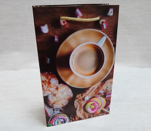 Пакет подарочный новогодний 1551(26х16х7 см)