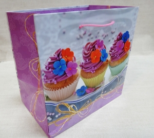 Пакет подарочный 2547 (22,5х22,5х14 см) широкое дно